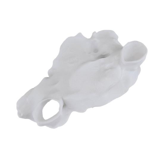 Aquarium Cave Tunnel Under Gravel Fish Hideout Fish Tank Decoration Natural Curve Hideout for Pleco Shrimp Corydoras Catfish
