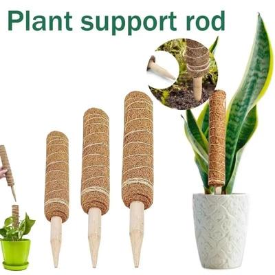 Estructura de Soporte para Plantas Trepadoras Cáscara de Coco Musgo Caña de Palma Jardinería Caña de Coco Poste de Soporte Extensible para Plantas Trepadoras Planta de Interior Trepadora 1 Pieza
