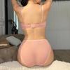 Conjunto de ropa interior de seda de hielo francesa para mujer, conjunto de sujetador push up de encaje sexy con relleno desmontable, sujetador de copa fina, conjuntos de lencería sin costuras