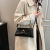 2024 New Early Spring New Work Commuting Casual Lightweight Small Bag Women's Fashionable Small Square Bag Niche Shoulder Bag