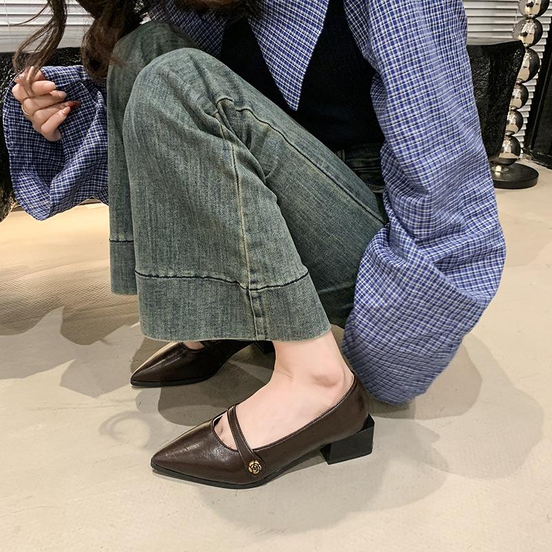 Pointed commuter shallow mouth single shoes women's spring and autumn French retro casual evening thick heel fashion Mary Jane small leather shoes