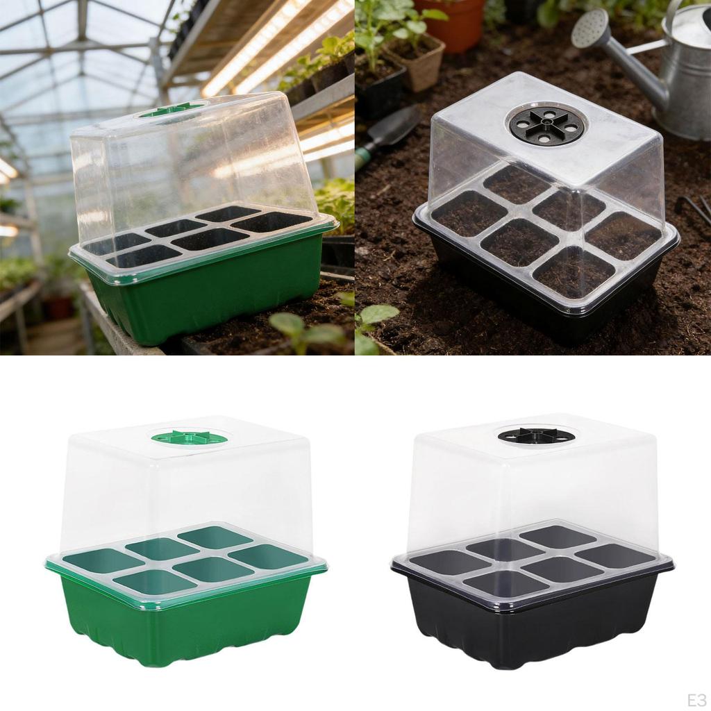 Plant Starter Tray Growing Indoor Vented Kit 6 Cells for Wheatgrass Seedling