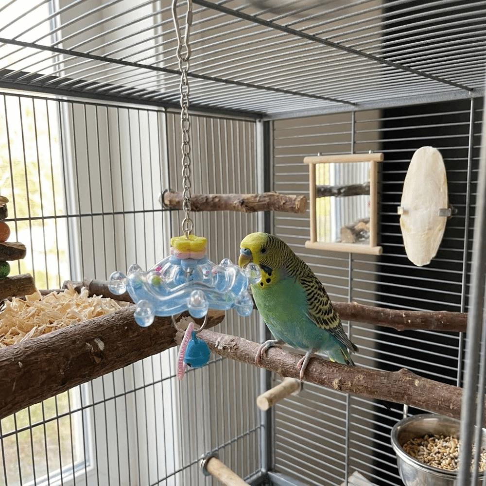 Rotating Hanging Foraging Ball Plastic Detachable Parrots Chew Swing with Bell Bite Resistant Bird Cage Toy Pet Entertainment