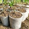 Non-woven Nursery Bag  Plant Bag Nursery Cup Thickened Container Pot Horticultural Planting Bag 200pc