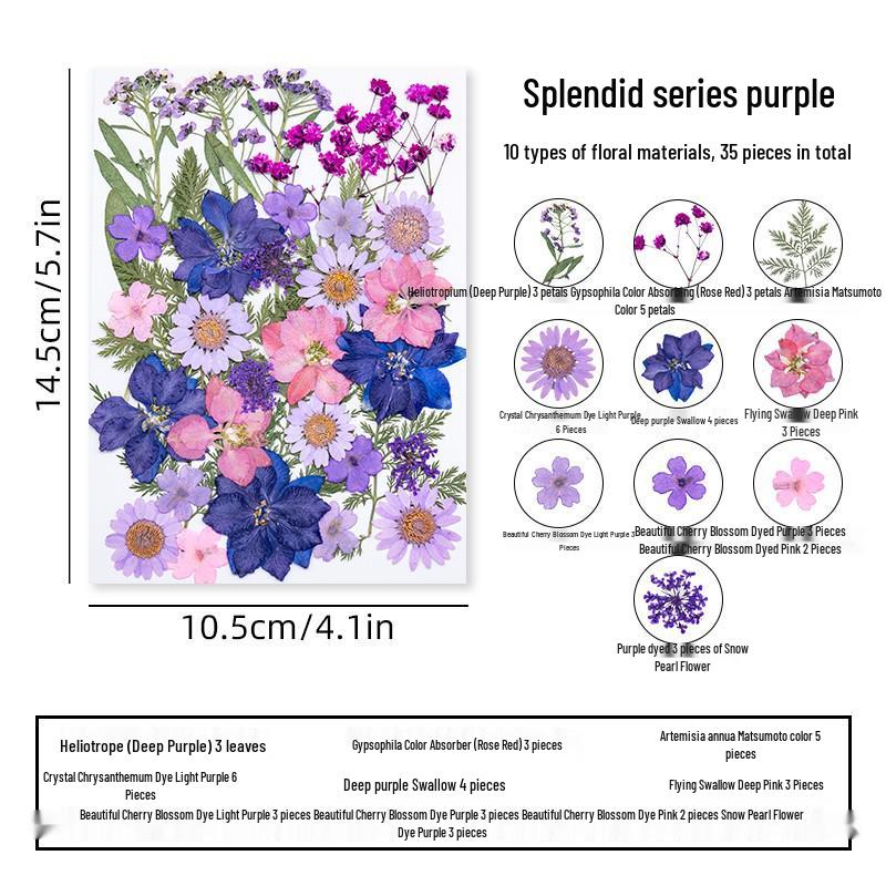 DIY Dried Flower Specimen Sticker Set for Kids: Handmade Pressed Flower Frames & Resin Bookmark Craft Kit