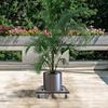 16x16 Inch Plant Stand with Wheels - Black Rolling Flower Pot Tray Holder | Modern Iron Plant Caddy | Durable Plant Tray Rack