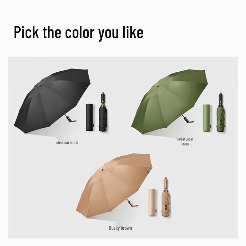 Beneunder 10-Rib Automatic Reverse Folding Umbrella