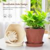 5.7Inch Plastic Flower Pots for Indoor Outdoor Planters with Drainage Tray Hexagon Design,Breathable Bottom,Lightweight for Balcony,Garden,Home