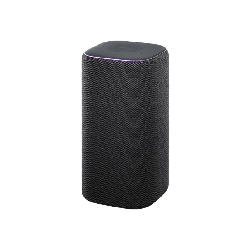 

Xiaomi Smart Speaker Pro