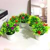 Brighten Your Surroundings Plastic Rose Mini Potted Plant Bonsai Home Decor