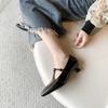 Fashion Elegant Pointed Toe Mary Jane Shoes Women's Spring Autumn New Style Thin Medium Heel Leatherette Single Shoes Buckle Strap