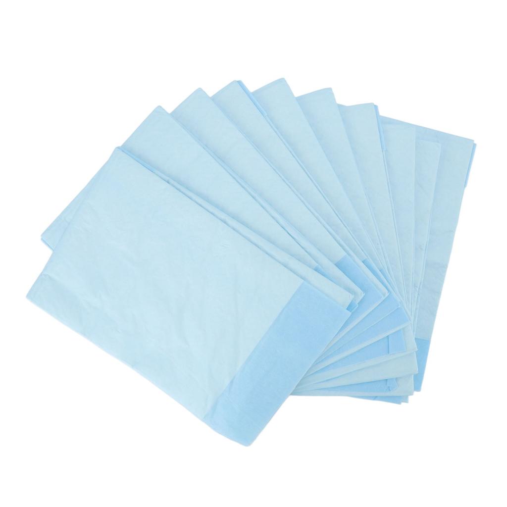 10 Pcs Disposable Bed Pad Heavy Absorbency Incontinence Pad Soft Gentle Underpad for Adult Elder Maternity Baby