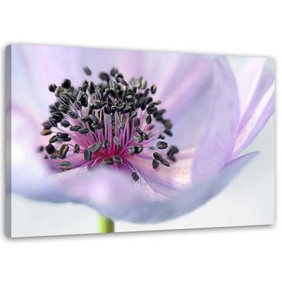 Tableaux sur toile Fleur pourpre Nature Macro