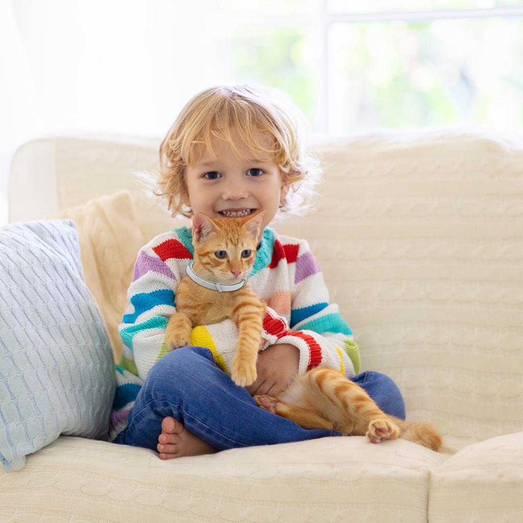 4Pcs Cat Calming Collar Soothing Collar Anti-Anxiety Cat Pheromone Collar Helps with Aggression Comfort Cat Calm Collar for Cats