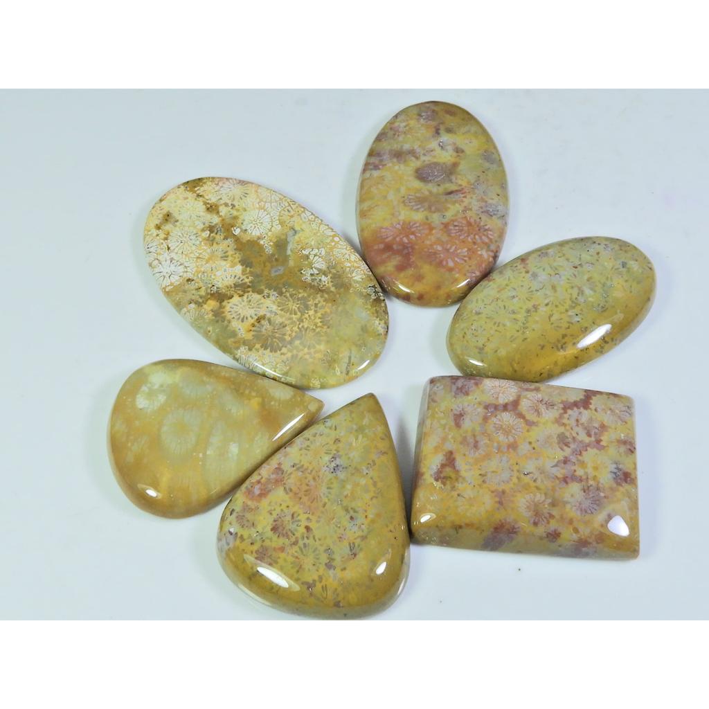 06Pcs Natural Fossil Coral Mix Cabochon Loose Gemstone Lot 268Cts. A-744