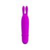 Boyce Mini Vibrator Purple Color