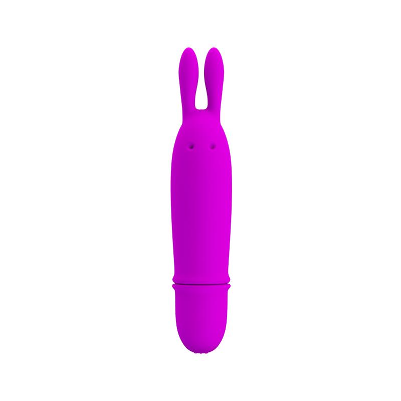 Boyce Mini Vibrator Purple Color