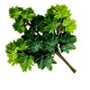12pcs Artificial Maple Leaf Branch Waterproof Greenery Plants Foliage for Landscape Tree Making Home Decoration Outdoor Project