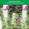 4 Sizes 27 Strands of  Horticultural Plant Climbing Vine Net Ipomoea Nil Climbing Flowers Climbing Rattan Ropes for Plants