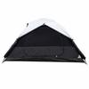 Dome Camping Tent for 2 Persons White & Dark Waterproof