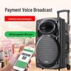Shinco Portable Karaoke PA Speaker