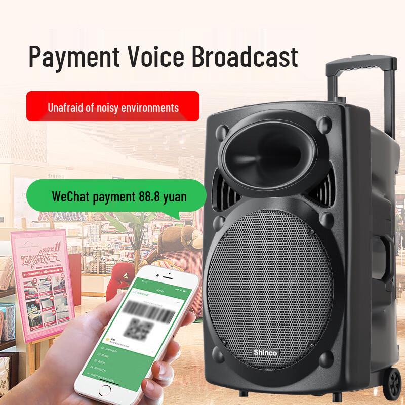 Shinco Portable Karaoke PA Speaker