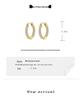 High-Quality Diamond Paved Hoop Earrings – Small, Niche, Luxury Feel Ear Jewelry
