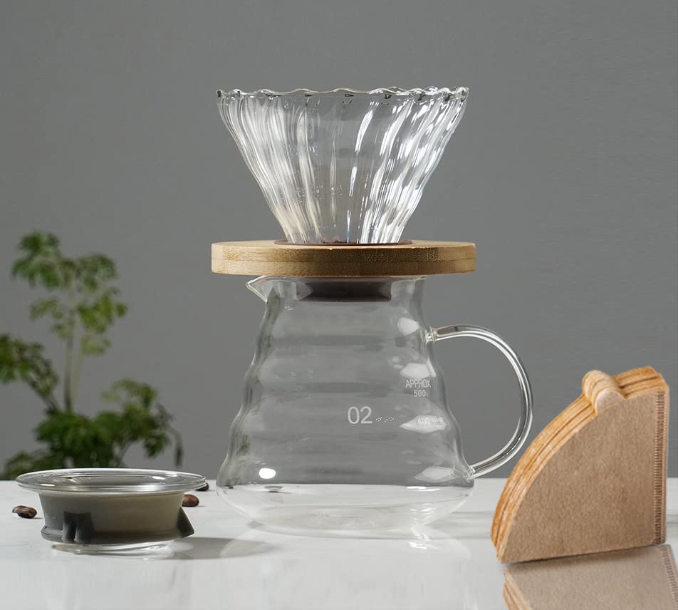 Gugrida 600ml Coffee Server, Drip Coffee Server, Hand Drip Coffee Server, Heat and Cold Resistant, High Boron Silica Glass Material (Transparent)