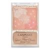 Glow Fleurette Cheek Glossy Highlight Blusher