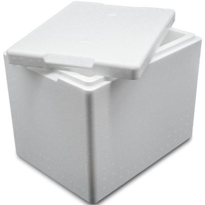 Termobox Styrofoam Thermal Box with Lid PZH Certificate 395x295x320mm 20L Arpack