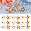 200Pcs Star Rivets 5‑Pointed Star Claw Nails DIY Bags Hats Decoration Accessories 10MMGold