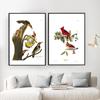 Retro American Birds Illustrations Print Vintage Poster Bird Tree Wall Art Canvas Painting For Living Room Home Decor No Frame (with Frame)