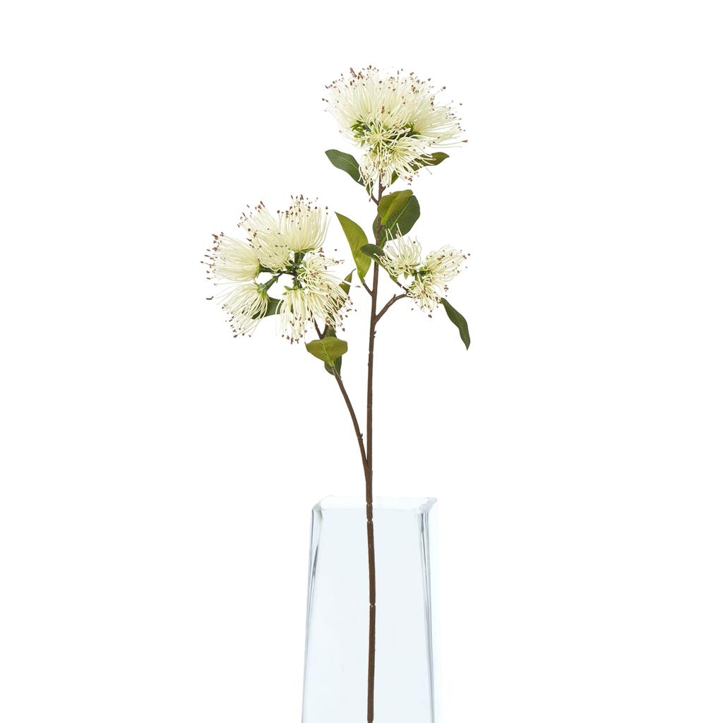 Hill Interiors Protea Nitida Stem Artificial Flower Spray