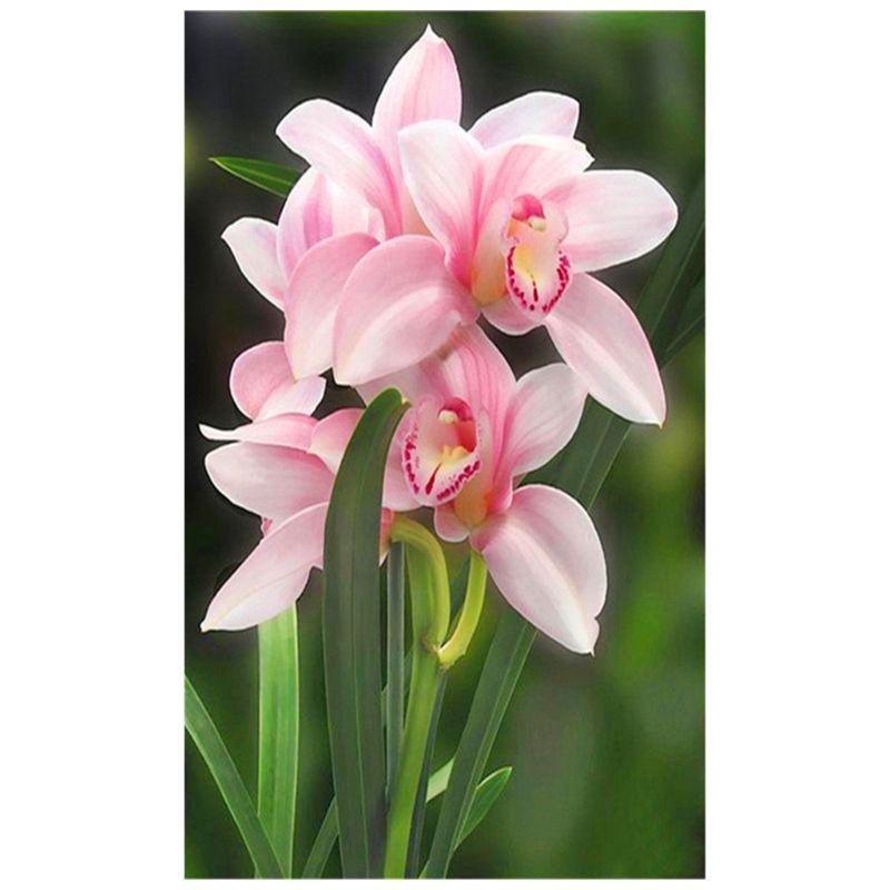 5D DIY Diamond Painting Multicolored Flowers Diamond Mosaic Diamond Embroidery Full Set Cross Stitch Kits Home Decor Gifts