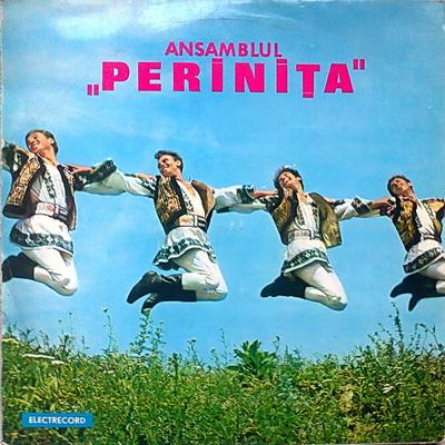 Disque LP ORCHESTRA PERINIA Ensemble Perinita EPE0386 Electrecord 1968 Roumanie Folk Occasion