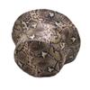 Fashion Both Sides Print Bucket Hat Outdoor Design Travel Style Fisherman Hat Snake Print Hat for Men Women