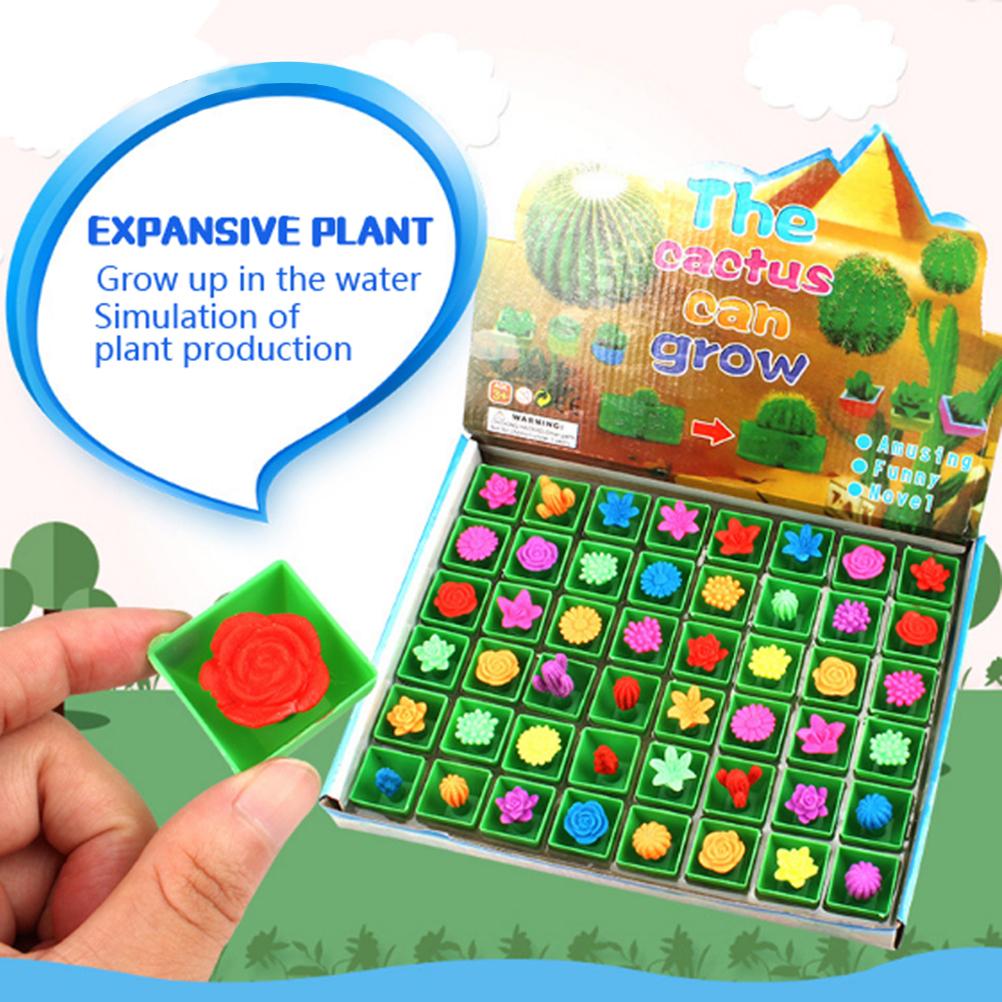 48pcs/set Amazing Plant Flowers Growing In Water Cactus Toys Soaking Expansion Water Absorption