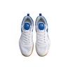 New LINING Men's Table Tennis Training Shoes   White/Blue APTP001-1