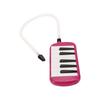 12 Key Melodica Instrument with Tube Piano Keyboard for Beginners Kids and Adults