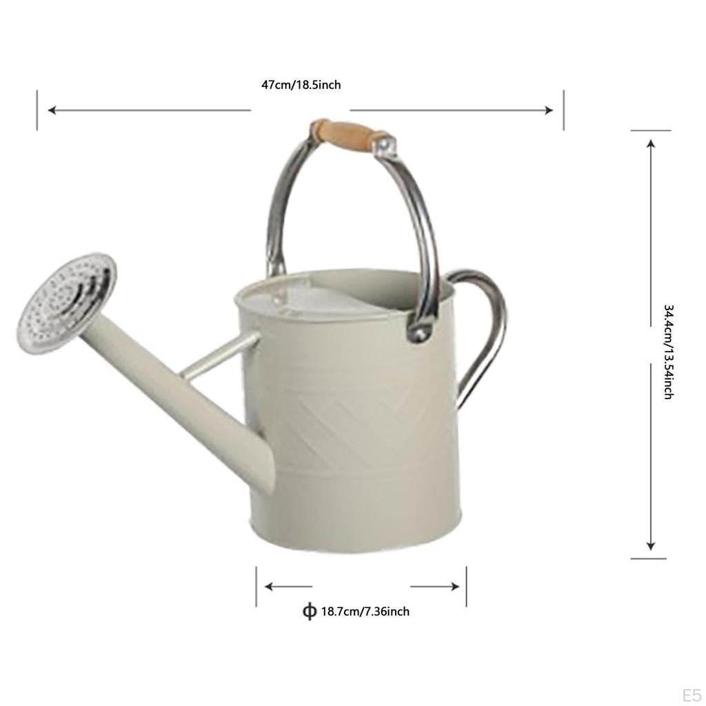 Indoor Plant Watering Can with Large Opening and Detachable Spout, Design