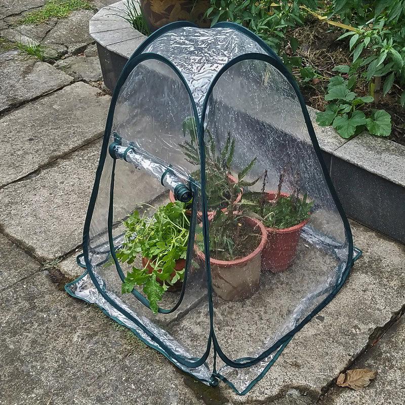"Outdoor Balcony Greenhouse Insulated Shed for Garden Succulents and Bougainvillea"