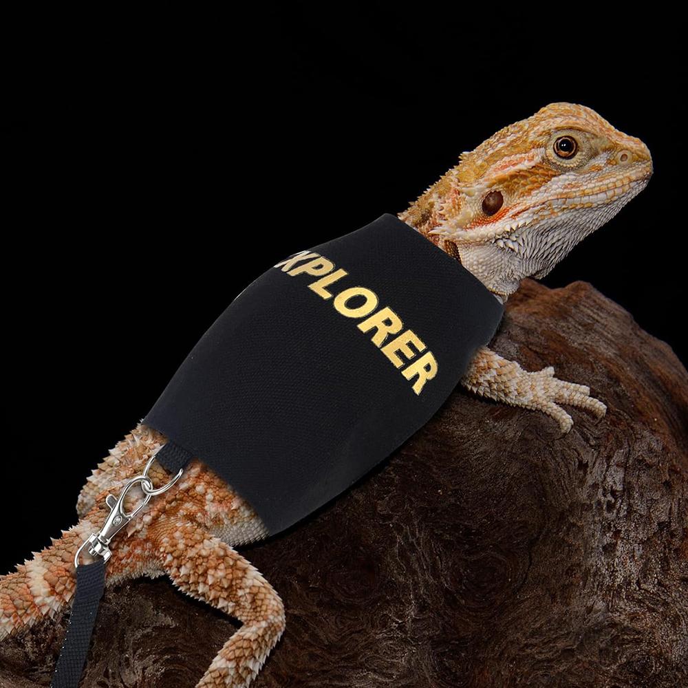 Justerbar Reptil Øgle Bånd Sele for Gåtur Utendørs