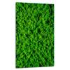 GLASS BOARD PANEL TABLETOP 30x52 GREEN