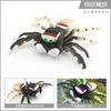 Intricately Plastic Designed Spider Models Including Dynamic Peacock And Striped Flies Available In Various Colors Ideal For Col