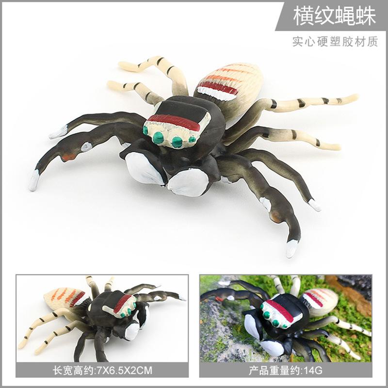 Export Simulation Insect Animal Model Red And Blue Peacock Spider Striped Fly Spider Static Cognitive Ornament Toy