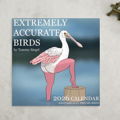 Calendar de perete 2026 Păsări amuzante Calendar de perete de agățat ian.. până în Dec.2026 Planificator de 12 luni Cadou amuzant de Crăciun Cadou Elefant Alb pentru adulți