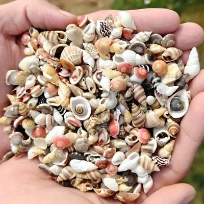 Oggetti decorativi – Oggettistica con elementi naturali