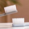 Brosses à dents pour adultes Brosses à dents universelles à poils extra doux Brosses à dents légères pour adultes Brosses à dents à petites têtes à poils souples Brosses à dents