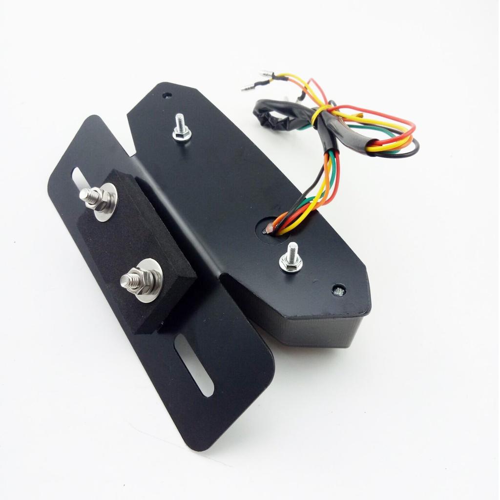 Ranzek Turn Signal Lamp License Plate Bracket Smoke Lens Integrated Tail Turn Signal Light