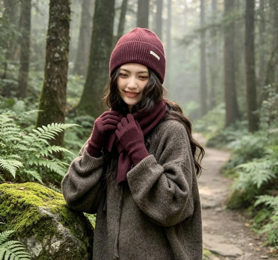 3Pcs Set Winter Hat Scarf Touchscreen Gloves Unisex Knitted Warm Beanie Neck Warmer Gloves Set For Autumn Winter Outdoor Daily Wear